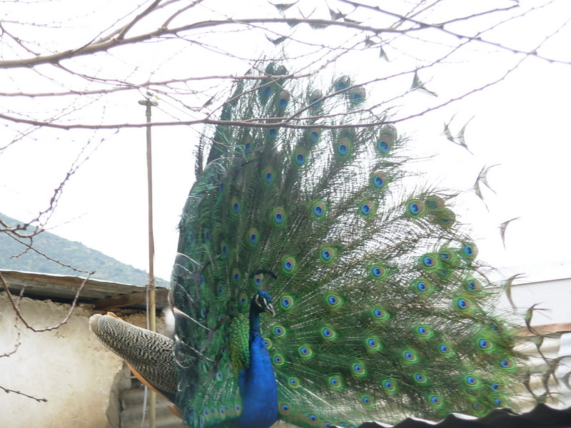 Foto de Petorca, Chile