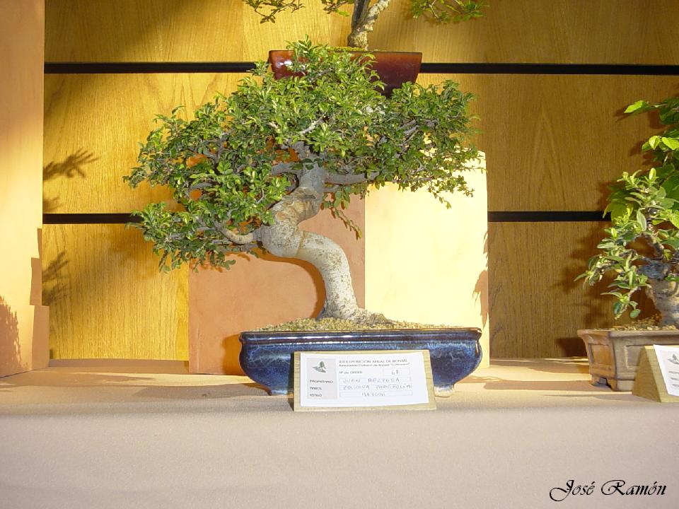 Foto de Jerez de la Frontera (Cádiz), España