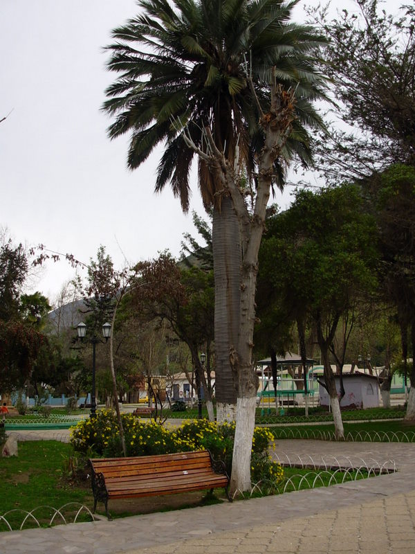 Foto de Petorca, Chile