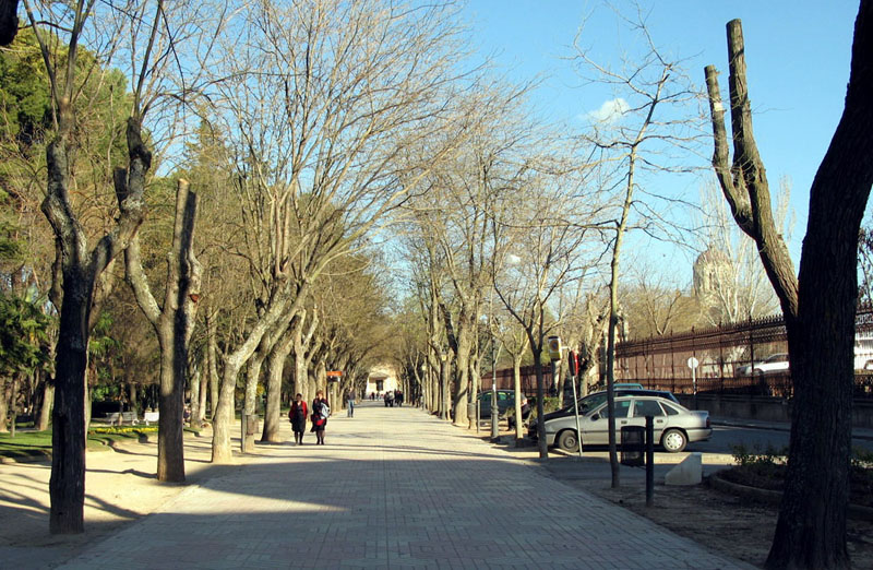 Foto de Guadalajara (Castilla La Mancha), España