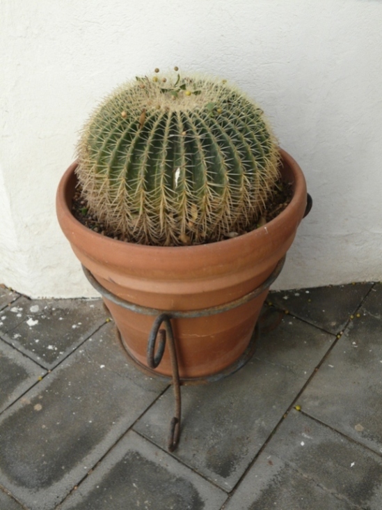 Foto de Lanzarote (Las Palmas), España