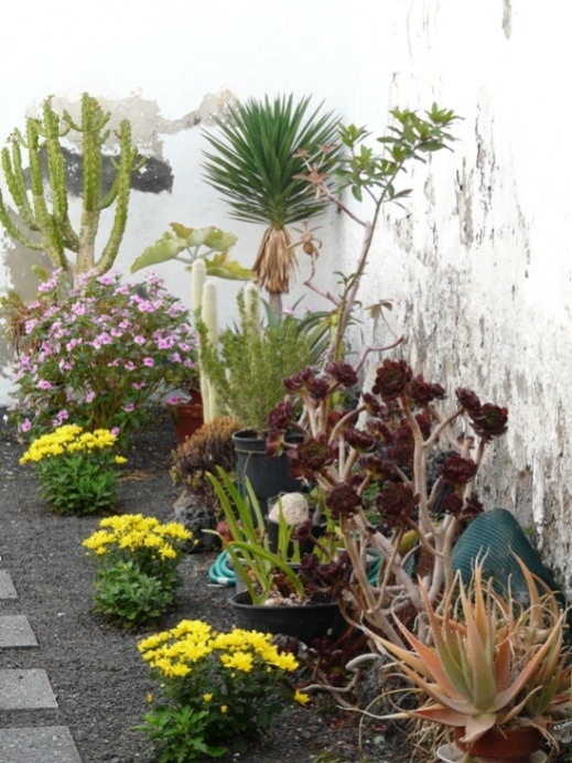 Foto de Lanzarote (Las Palmas), España