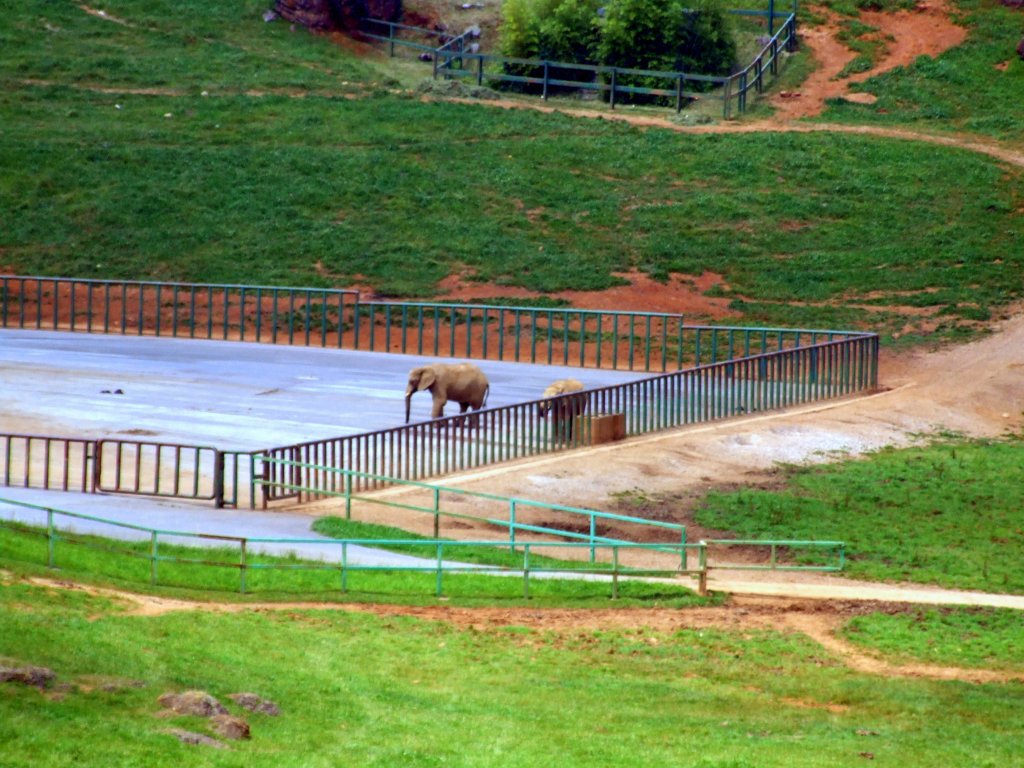 Foto de Cabarceno (Cantabria), España