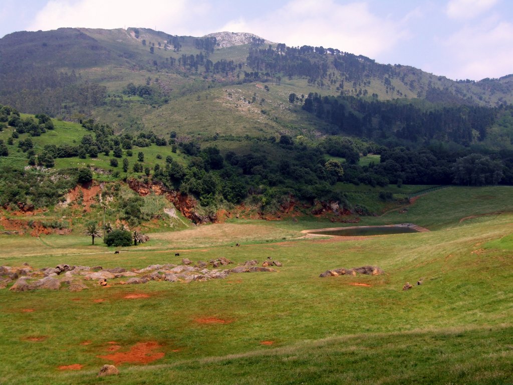 Foto de Cabarceno (Cantabria), España