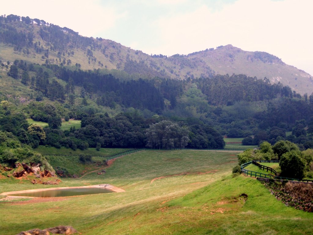 Foto de Cabarceno (Cantabria), España