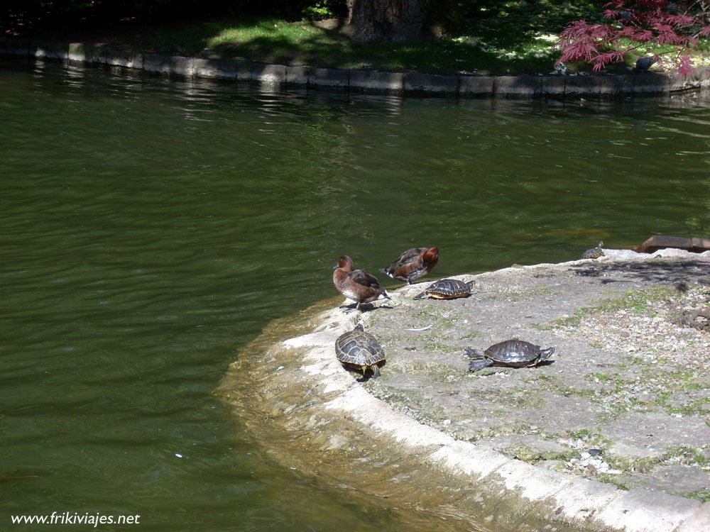 Foto de Oviedo (Asturias), España