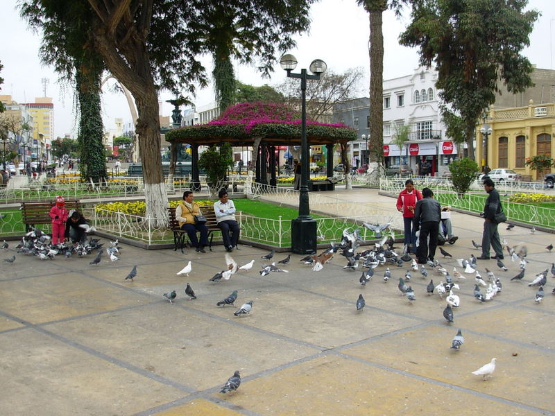 Foto de Tacna, Perú