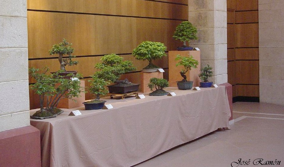 Foto de Jerez de la Frontera (Cádiz), España