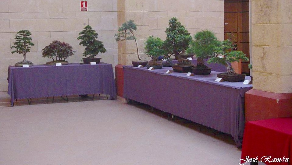 Foto de Jerez de la Frontera (Cádiz), España