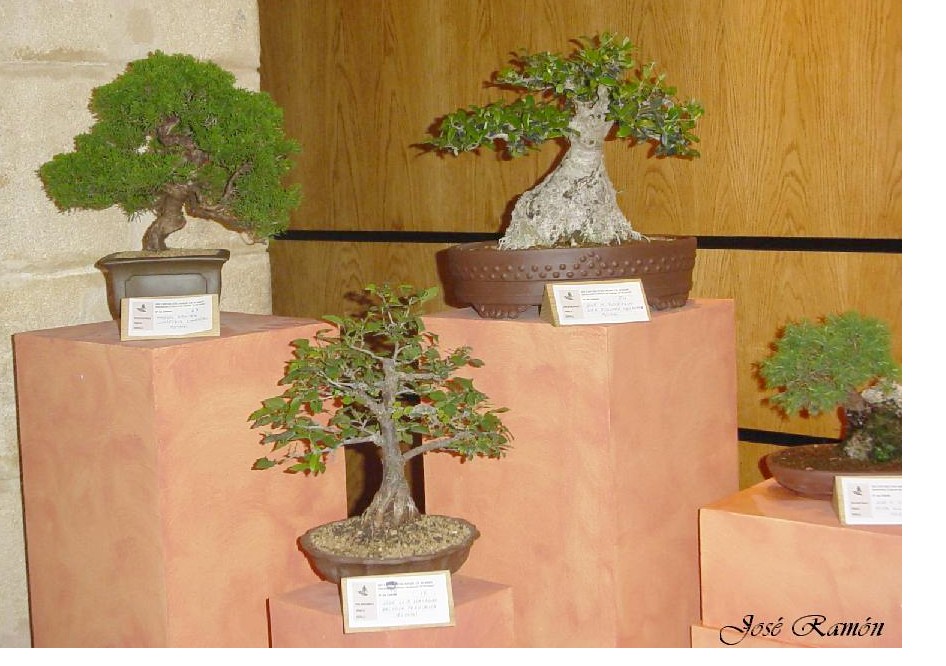 Foto de Jerez de la Frontera (Cádiz), España