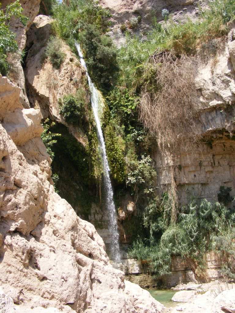 Foto de Ein Gedi, Israel