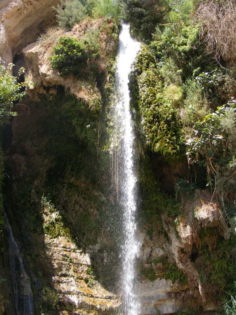 Foto de Ein Gedi, Israel