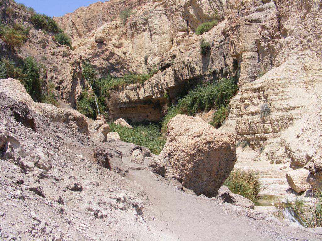 Foto de Ein Gedi, Israel