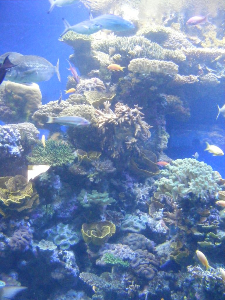 Foto de Eilat, Israel