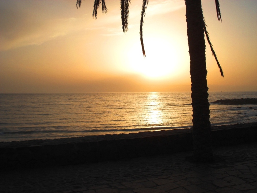 Foto de Arona (Santa Cruz de Tenerife), España