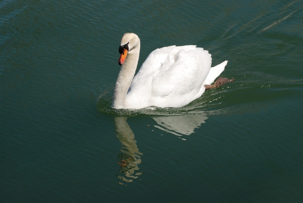 Foto de Puigcerdà (Girona), España