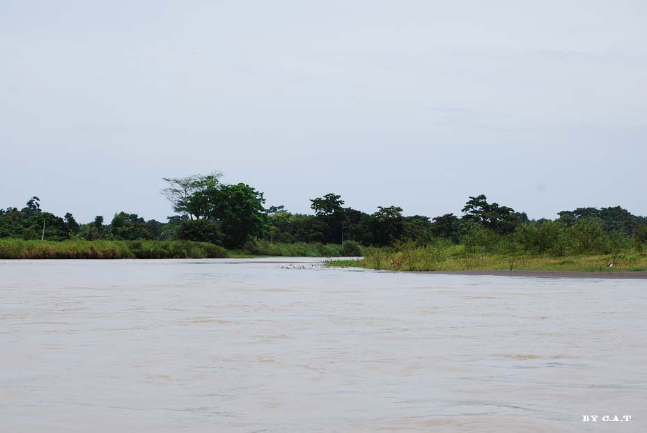 Foto de Limón, Costa Rica