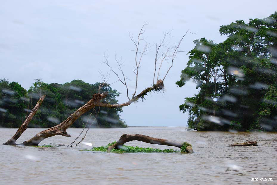 Foto de Limón, Costa Rica