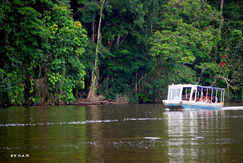 Foto de Limón, Costa Rica