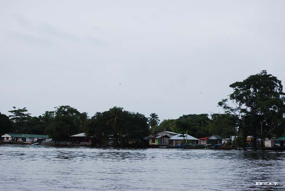 Foto de Limón, Costa Rica