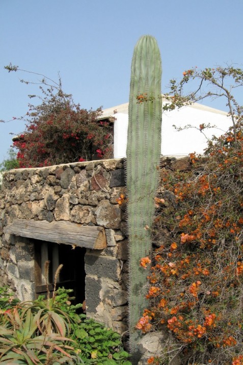 Foto de Lanzarote (Las Palmas), España