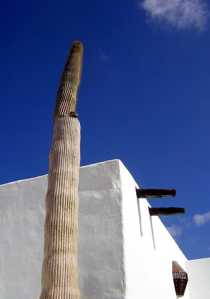Foto de Lanzarote (Las Palmas), España