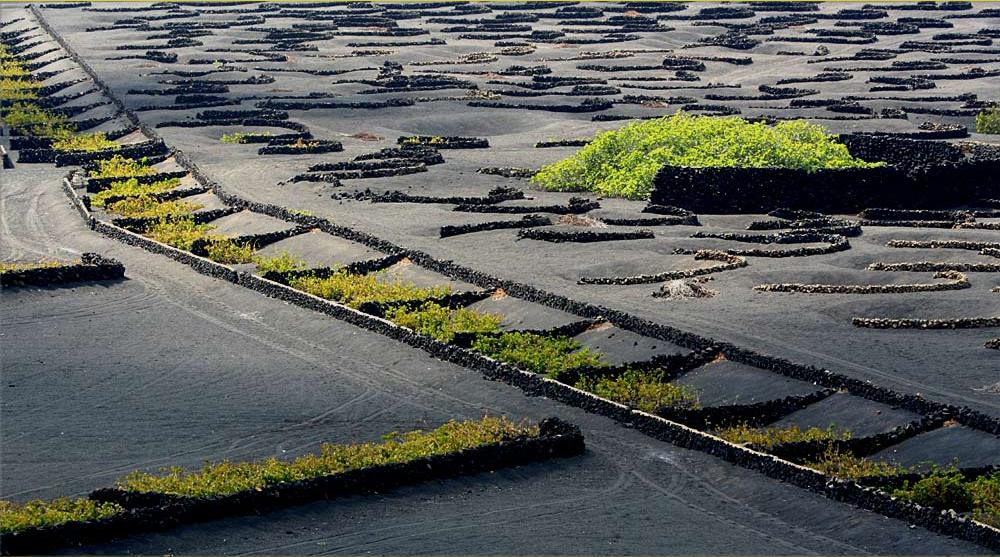Foto de Lanzarote (Las Palmas), España