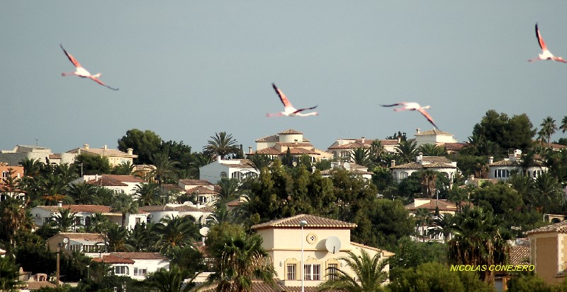 Foto de Calpe (Alicante), España