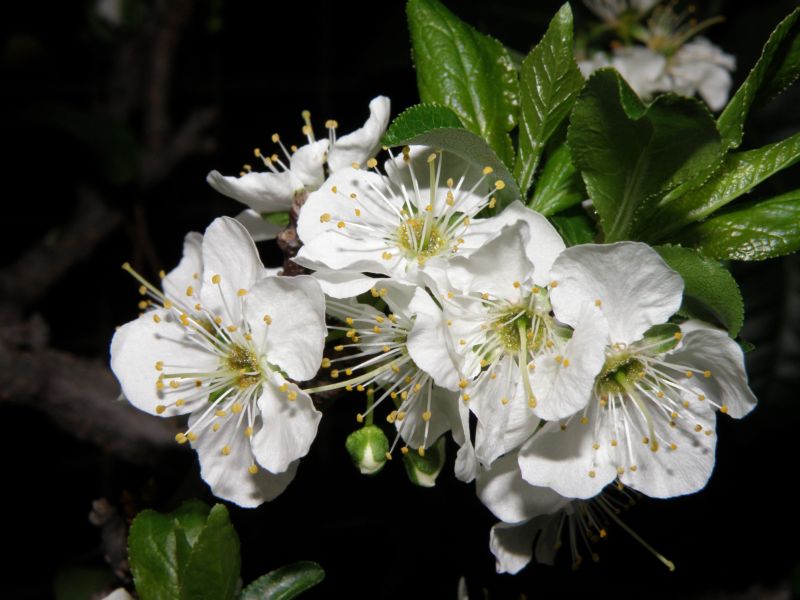 Foto de Buenos Aires, Argentina