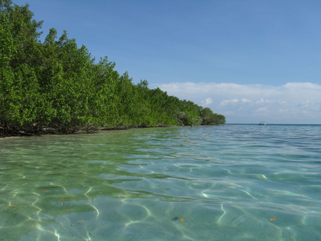 Foto de Morrocoy, Venezuela