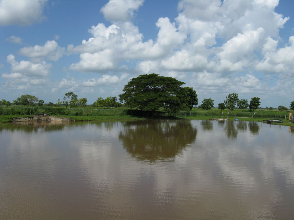 Foto de Barinas, Venezuela