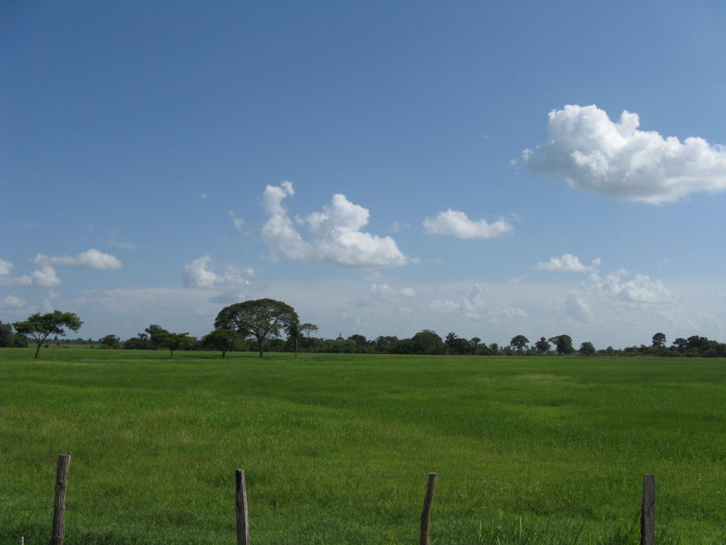 Foto de Barinas, Venezuela