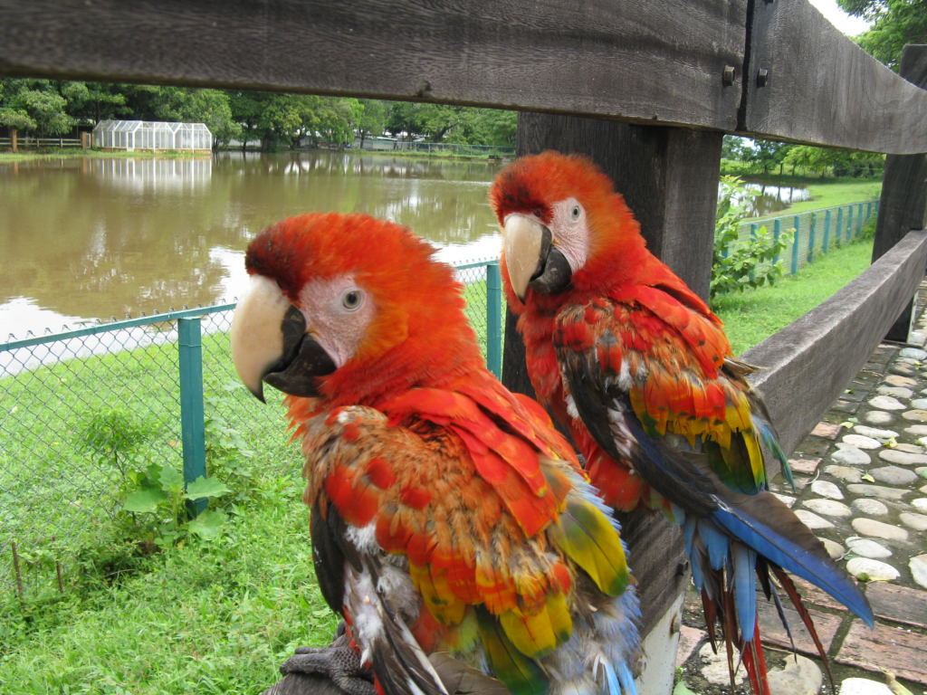 Foto de Barinas, Venezuela