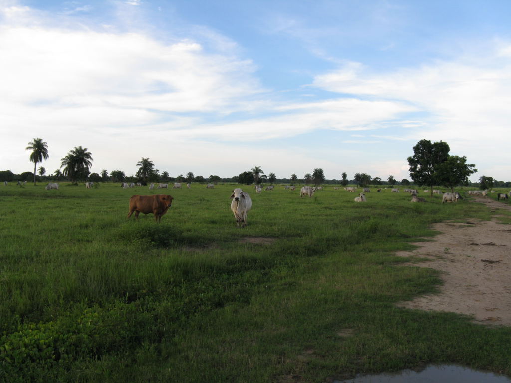 Foto de Barinas, Venezuela