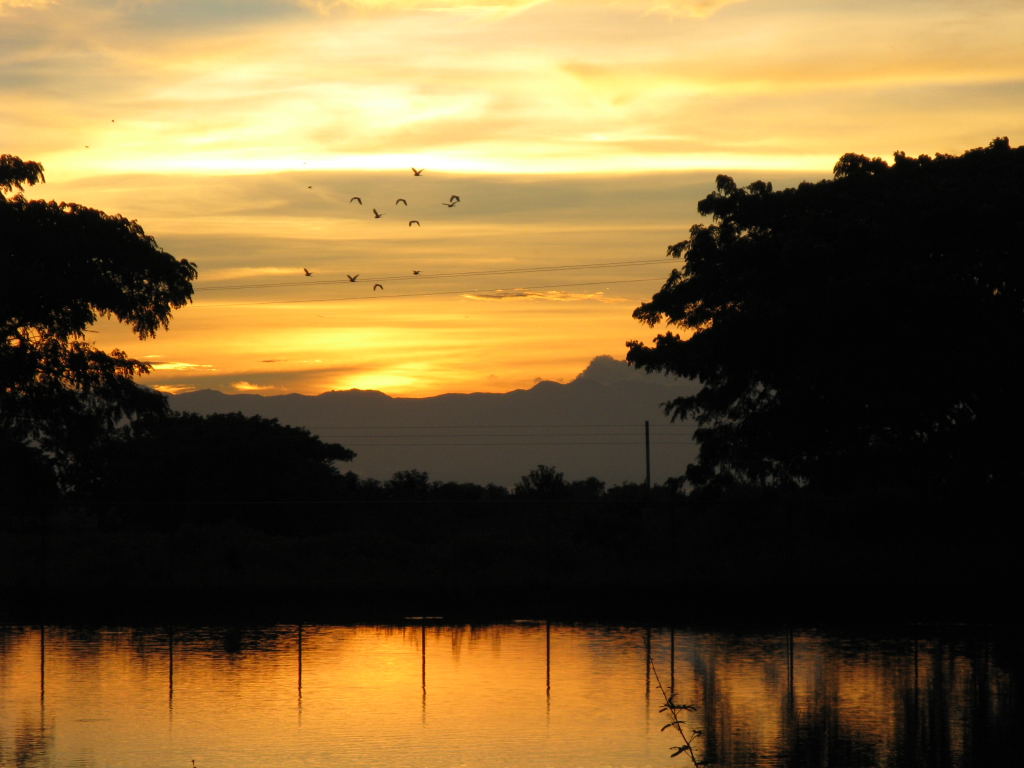 Foto de Barinas, Venezuela