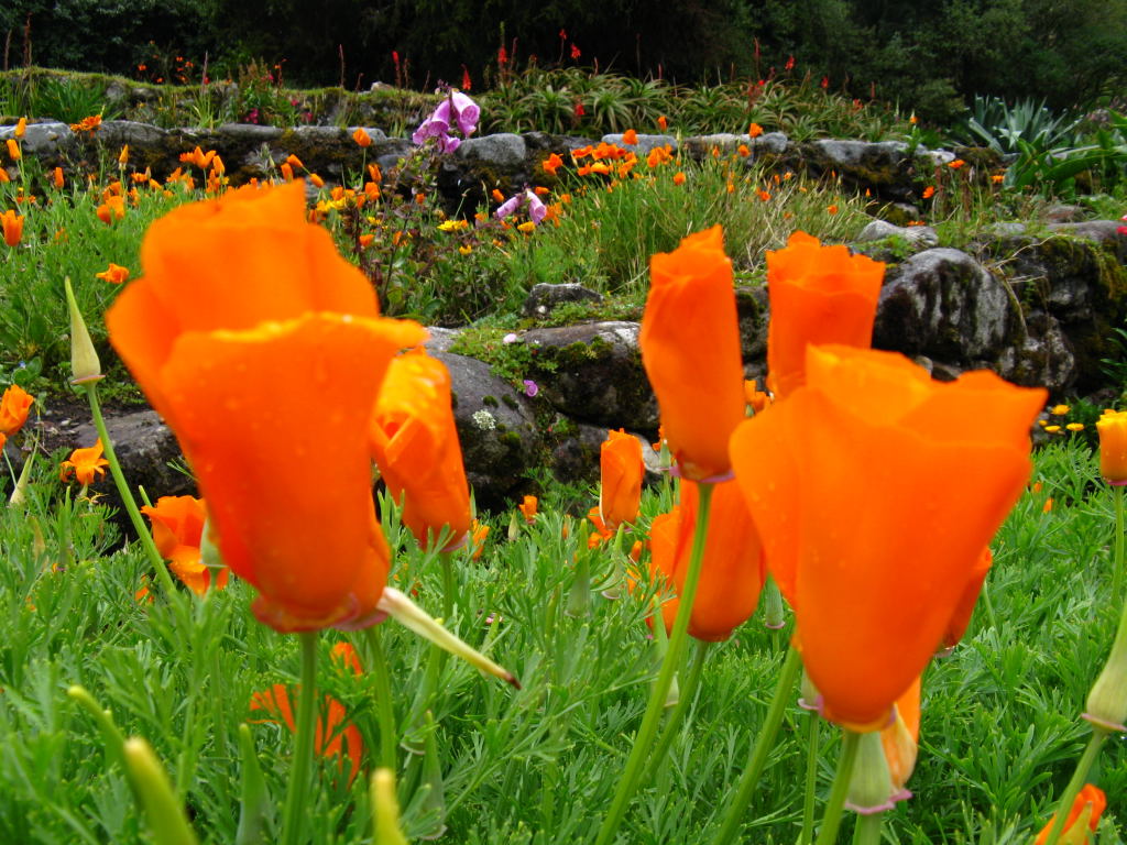 Foto de Santo Domingo, Venezuela