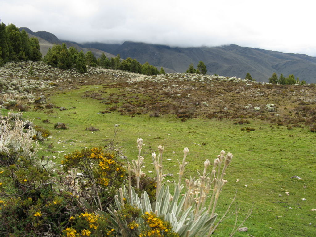 Foto de Mérida, Venezuela