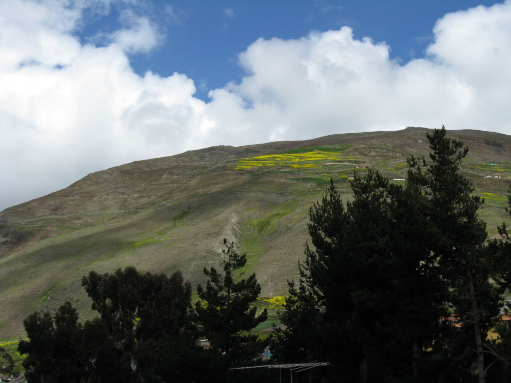 Foto de Apartaderos, Venezuela