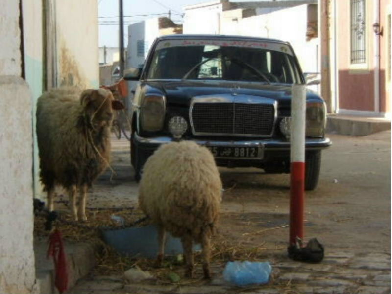 Foto de El Jem, Túnez