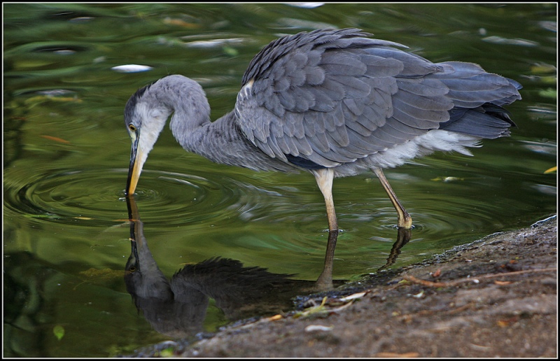 Foto de Puigcerdà (Girona), España