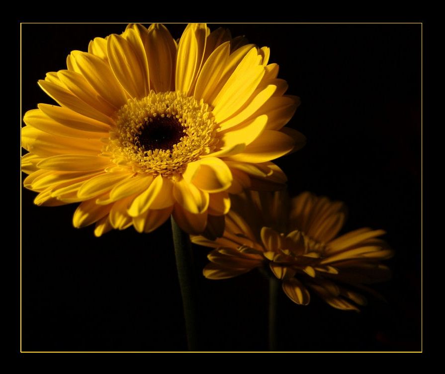 Foto de Puigcerdà (Girona), España