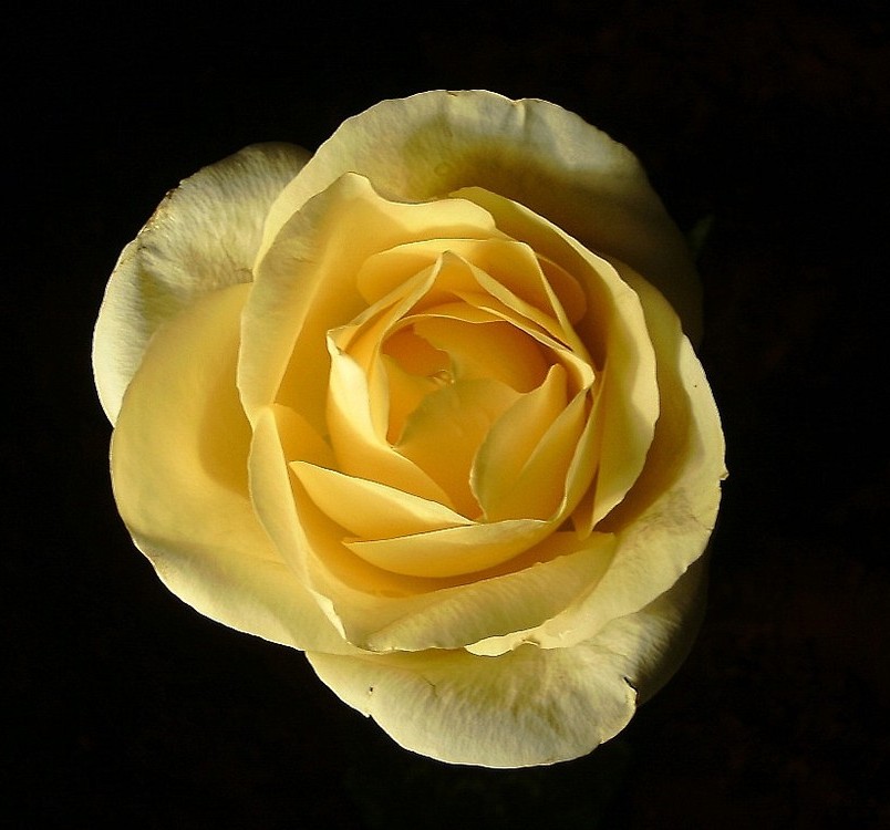 Foto de Mallorca (Illes Balears), España