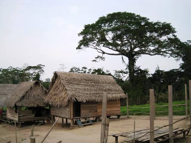 Foto de Purús, Perú