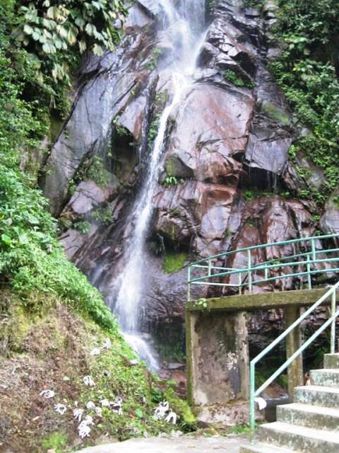 Foto de Pucallpa, Perú