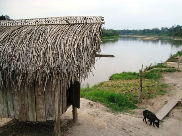 Foto de Chanchamayo, Perú
