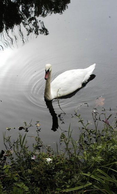 Foto de Puigcerdà (Girona), España