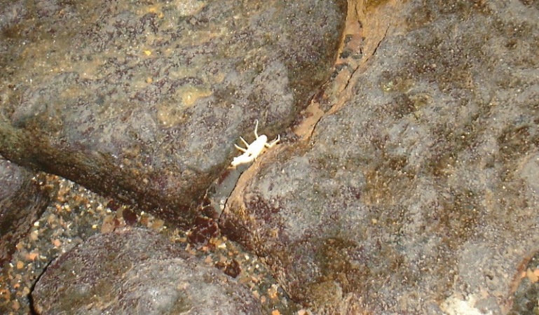 Foto de Lanzarote (Las Palmas), España