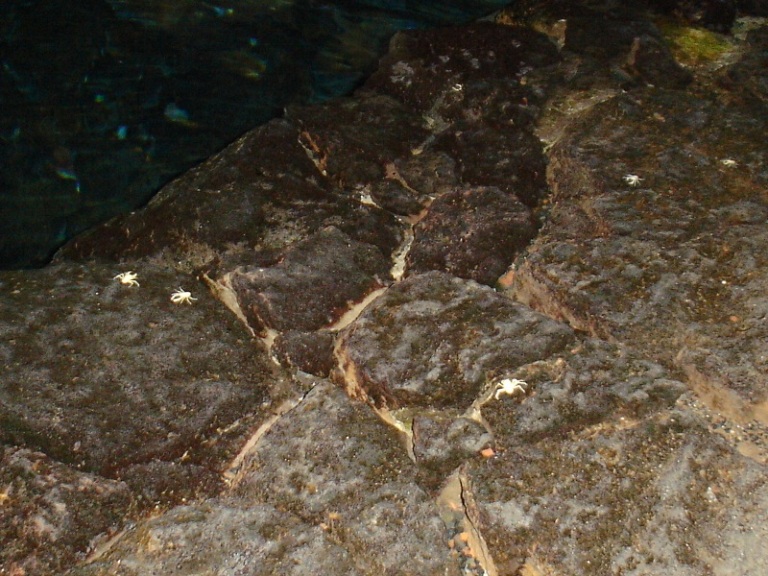 Foto de Lanzarote (Las Palmas), España