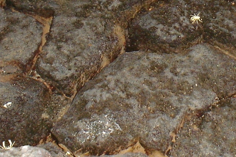 Foto de Lanzarote (Las Palmas), España