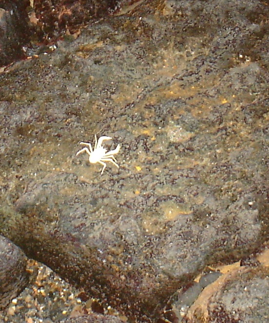 Foto de Lanzarote (Las Palmas), España